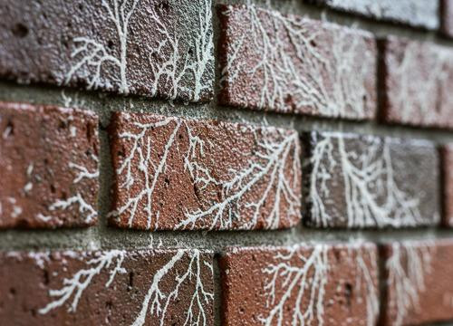 Выцветание кирпича: причины, профилактика и способы удаления высолов