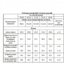Плащ-дождевик с капюшоном WATERWAY Тайфун синий р-р 56-58 рост 182-188