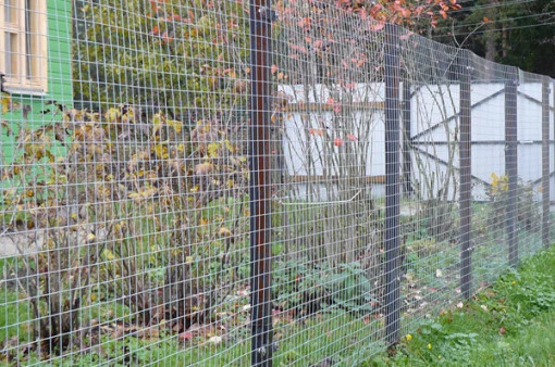 Сетка сварная оцинкованная 25х25х0,8 мм в рулоне 10 м2