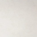 Обои виниловые на флизелиновой основе PALITRA (Палитра) HC72509-12 Art Club однотонные 1.06 х 10.05 м