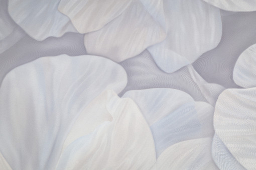 Обои виниловые на флизелиновой основе PALITRA (Палитра) SL72481-41 Sanremo флористика 1.06 х 10.05 м