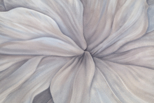 Обои виниловые на флизелиновой основе PALITRA (Палитра) SL72481-42 Sanremo флористика 1.06 х 10.05 м