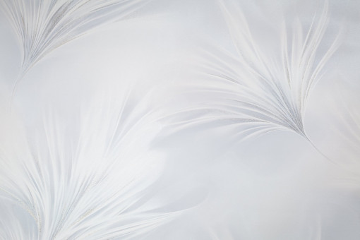 Обои виниловые на флизелиновой основе PALITRA (Палитра) SL72483-11 Felicita флористика 1.06 х 10.05 м