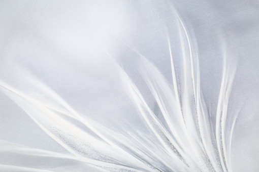 Обои виниловые на флизелиновой основе PALITRA (Палитра) SL72483-41 Felicita флористика 1.06 х 10.05 м