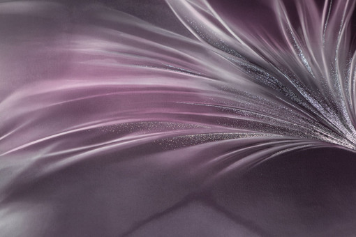 Обои виниловые на флизелиновой основе PALITRA (Палитра) SL72483-54 Felicita флористика 1.06 х 10.05 м