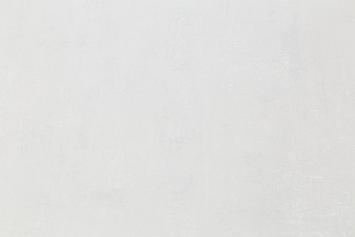 Обои виниловые на флизелиновой основе PALITRA (Палитра) SL72556-11 Grand Prix однотонные 1.06 х 10.05 м