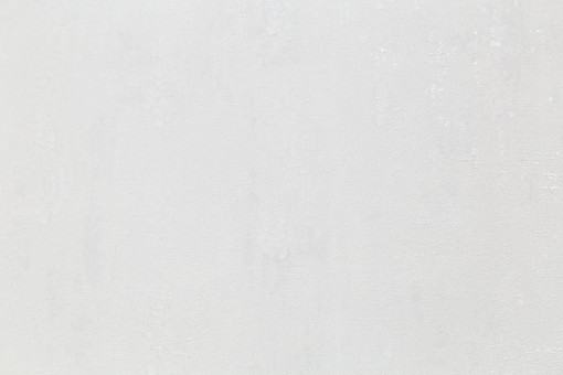 Обои виниловые на флизелиновой основе PALITRA (Палитра) SL72556-11 Grand Prix однотонные 1.06 х 10.05 м