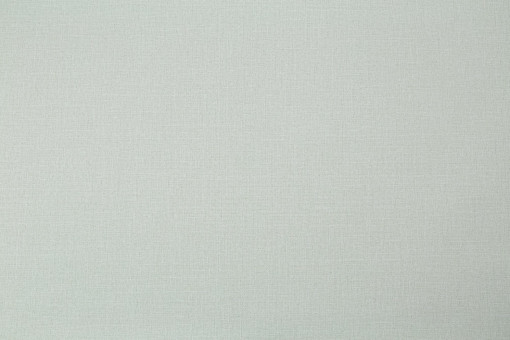 Обои виниловые Палитра Вог VV72301-17 Oliver однотонные 1.06х10.05 м