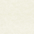Обои виниловые Euro Decor 8089-01 Ornamy Palazzo однотонные 1.06х10.05 м