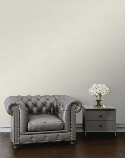 Обои виниловые Euro Decor 8089-02 Ornamy Palazzo однотонные 1.06х10.05 м