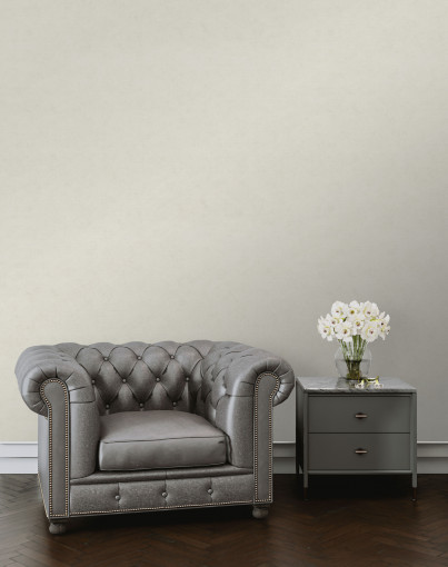 Обои виниловые Euro Decor 8089-11 Ornamy Palazzo однотонные 1.06х10.05 м