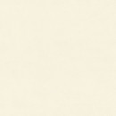 Обои виниловые Euro Decor 8091-00 Ornamy Florance однотонные 1.06х10.05 м