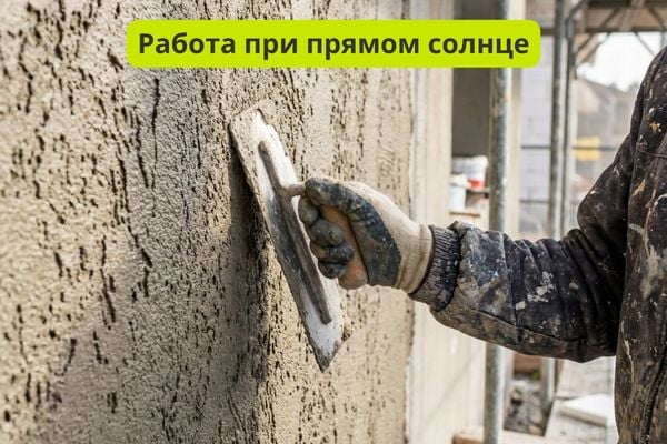 Работа с короедом при прямом солнце, ветре фото