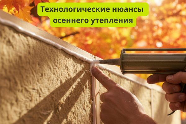 технологические нюансы осеннего утепления фото